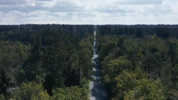 Tilt down aerial view at cars driving along a road framed by a green forest.