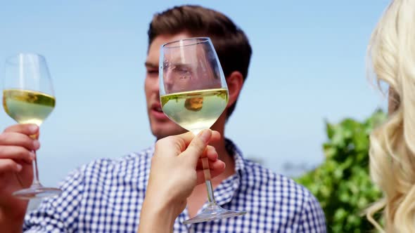 Couple drinking wine in vineyard