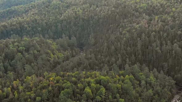 Aerial footage DOLLY ZOOM revealing the forested hills behind a winding river.