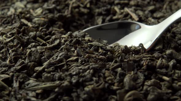 Green tea gunpowder. Shiny dessert spoon black dried rolled up leaves of Chinese tea 