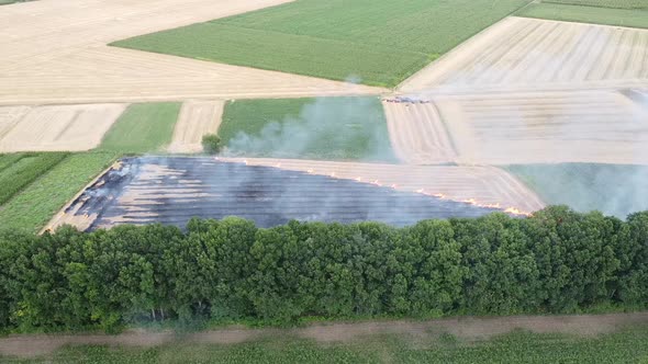 A lot of smoke spreads in the air from burning straw in the field.