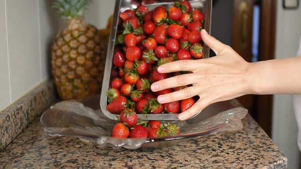 Fruits in the Kitchen