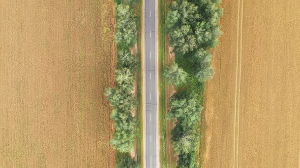 Aerial Over Picturesque Rural Road Passing Through Golden Rural Wheat Fields