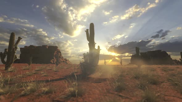 Rolling Tumbleweed In The Desert