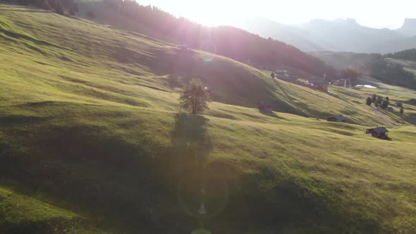 Flying Backwards from Lonely Tree on the Hills of Seiser Alm Meadow in Dolomites Mountains Italy