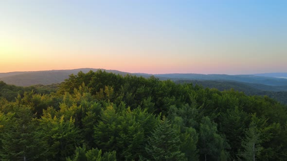 Vibrant Foggy Morning Over Dark Forest Trees at Bright Summer Sunrise