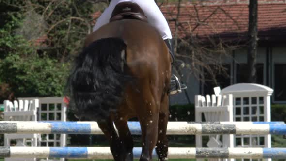 Horse Jumping 2