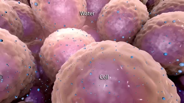 Interaction of cells with water