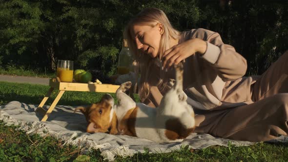 Young woman playing with Jack Russell Terrier at a picnic at dawn. Slow motion
