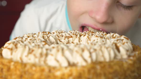 Happy preschooler child licks a sweet appetizing cream cake.