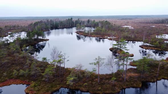 Aerial birdseye view of Dunika peat bog (mire) with small ponds in overcast autumn day, wide drone s