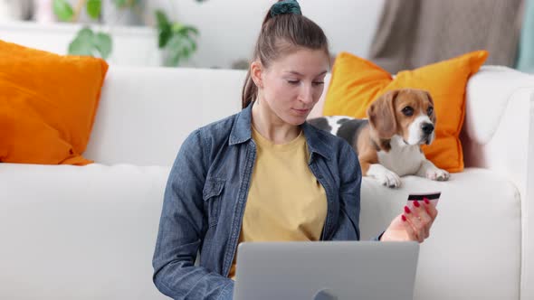 Woman Using Laptop and Shopping Online on Couch in Apartment Dog is Nearby Spbi