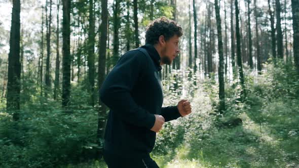 Slow Motion Shot of Man Running Through Pine Forest on Path in Woods. Runner Training Fitness and