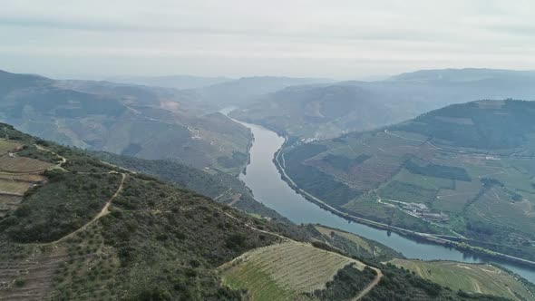 Terraced Vineyards in the Douro River Valley