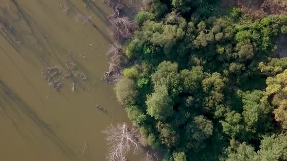 Overhead drone view of the bank of a swamp