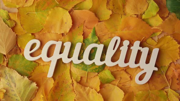 The word equality rotates against the background of autumn leaves