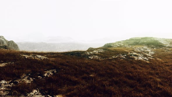 Stones Covered with Grass and Moss Under Bright Sky of Nepal alt