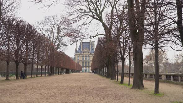 Alley In Tuileries Garden 2