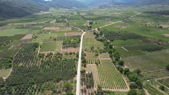 Aerial Farmland and Road