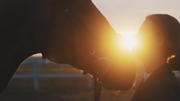 Silhouette Of Horsewoman Kissing And Expressing Love For Her Horse  Sunset Time