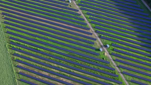 Solar Panel in Solar Farm