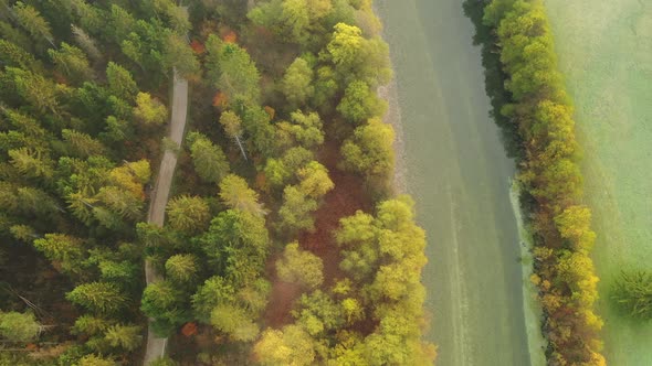 Autumn Sunrise in the forest by the river