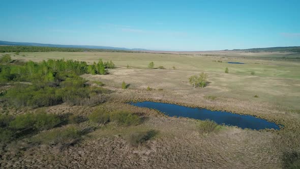 Aerial View of a Pond in Rural Area Surrounded with Meadows and Rare Trees