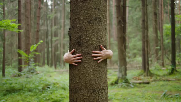 Man with his hands hugs a tree trunk, unity with nature