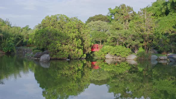 Birds beneath small red bridge at Japanese garden, Dominican Republic. Dolly-in