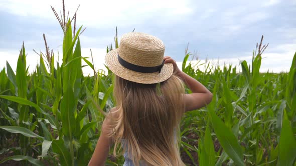 Follow To Small Girl in Straw Hat Running Through Corn Field at Overcast Day. Little Kid in Dress