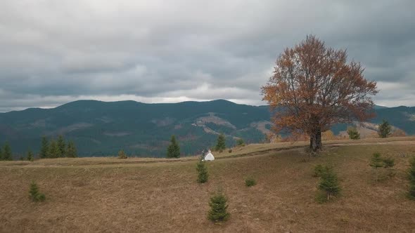 Lovely Young Newlyweds Bride Groom Walking on Mountain Slope Wedding Couple Family Aerial View