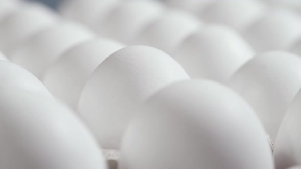 Eggs in a Cardboard Box Rotation Shot Chicken White Fresh Raw Eggs in an Egg Container