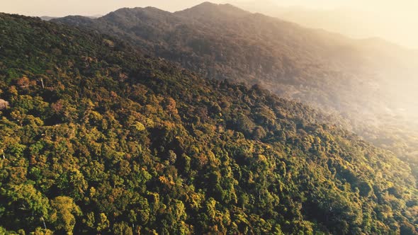 Aerial View Bright Dawn Over Green Forest on Mountains