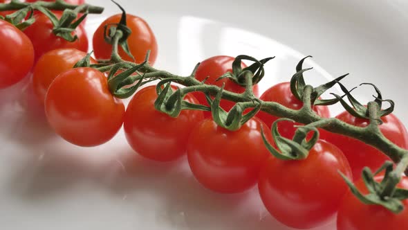 Motion Along Clean Fresh Red Grown Tomatoes on Branch