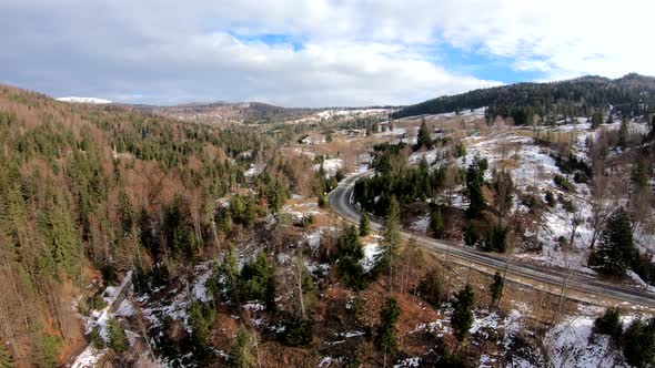 Aerial View Overlooking Mountainside Spruce Forest and Leafless Trees