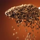 Instant Coffee in Spoon Slow Motion Macro Shot - VideoHive Item for Sale