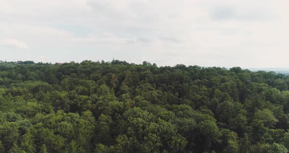 Flying Over the Beautiful Forest Trees. Landscape Panorama.