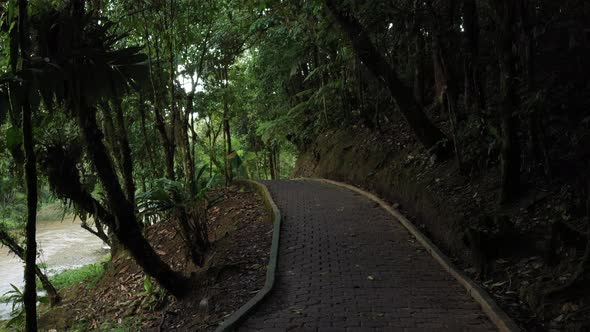 Following a paved pedestrian path surrounded by trees that is leading you alongside a river 