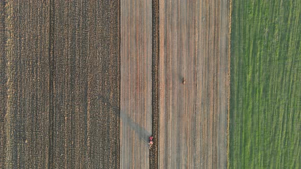 Modern Red Tractor in the Agricultural Field Plowing Land