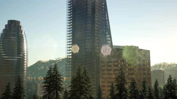 Park Forest and Skyscrapes at Sunset