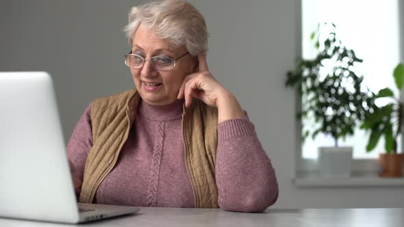 Elderly Woman Making Video Call on Laptop Waving at Screen Chatting with Children Free Space