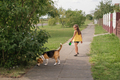 A child walks thoroughbred beagle dog on leash along the path - PhotoDune Item for Sale