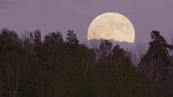 FULL MOON ZOOM IN - The full moon rises above a forest, Sweden