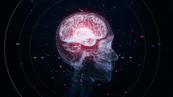 3D Animation of Skull alt