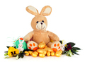 Plush bunny - PhotoDune Item for Sale