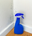 Anti-mould spray for mold removal. - PhotoDune Item for Sale