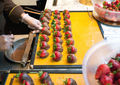 Making chocolate dipped strawberries - PhotoDune Item for Sale