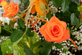 Beautiful bouquet of orange roses. - PhotoDune Item for Sale