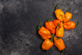 Orange Habanero peppers atop dark concrete backdrop, top view, copy space. Capsicum chinense fruits - PhotoDune Item for Sale