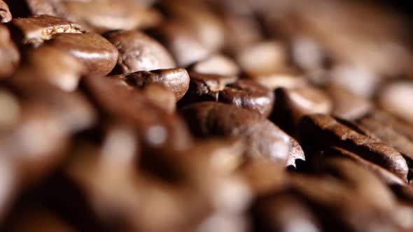 Aromatic Roasted Coffee Beans. Close Up. Rotsting